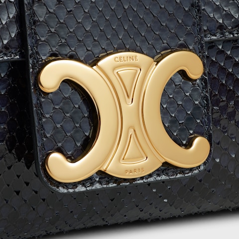 Medium Celine Victoire Bag IN Python - Image 4